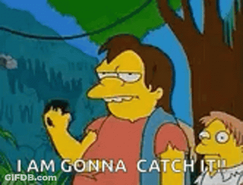 Man Holding Rock Saying I Am Gonna Catch It GIF