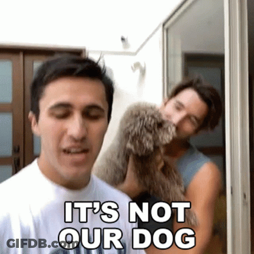Man Holding Small Dog Saying It's Not Our Dog GIF