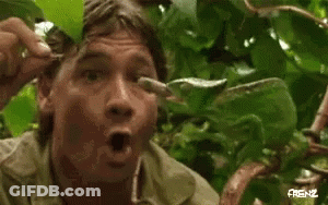 Man Holding Spoon In Mouth In Woods GIF