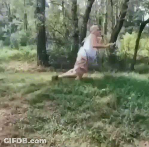 Man Holding Stick On Log In Woods GIF