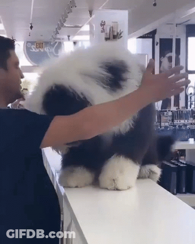 Man Holding Stuffed Animal In Front Of Exit Sign GIF