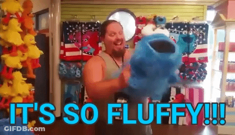 Man Holding Stuffed Animal Saying It's So Fluffy GIF