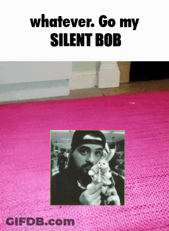 Man Holding Stuffed Animal Saying Whatever Go My Silent Bob GIF