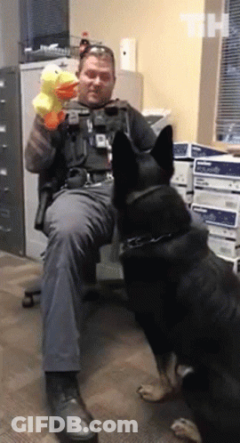 Man Holding Stuffed Duck Sitting Next To Dog GIF