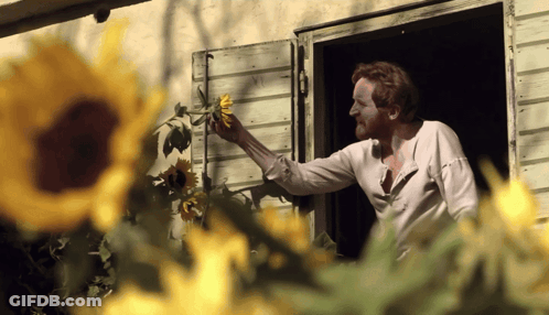 Man Holding Sunflower In Front Of Open Window GIF