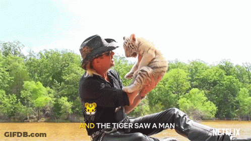 Man Holding Tiger Cub The Tiger Saw A Man GIF