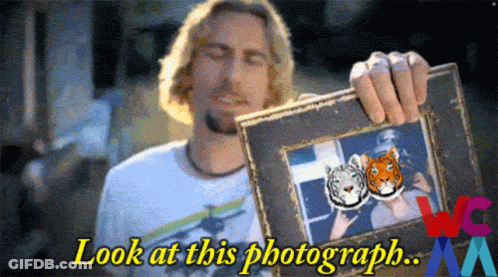 Man Holding Tiger Picture Frame Saying Look At This Photograph GIF