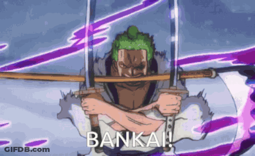 Man Holding Two Swords Bankai GIF