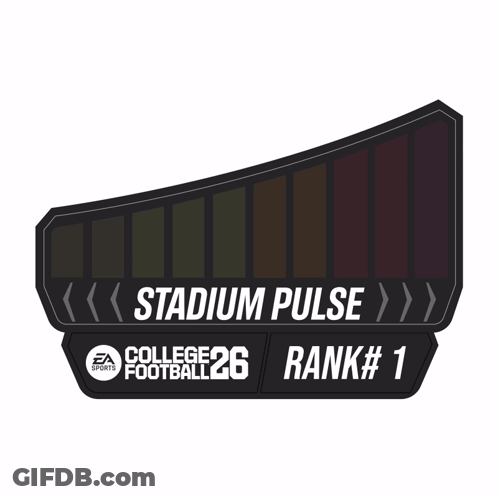 Man Holding West Ham Flag GIF