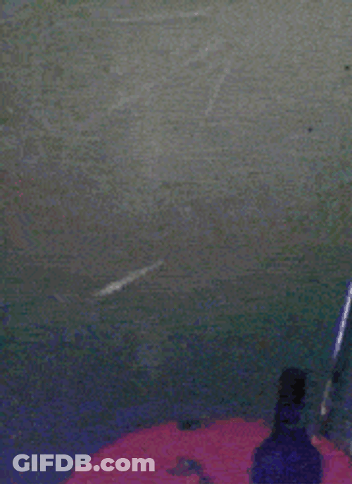 Man Holing Wall And Drinking Beer GIF