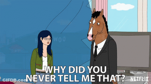 Man Horse Why Did You Never Tell Netflix GIF