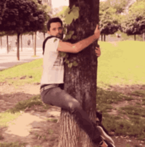 Man Hug Slowly Falling From Tree Meme GIF