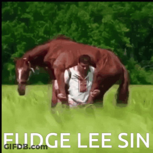 Man Hugging Horse Fudge Lee Sin GIF