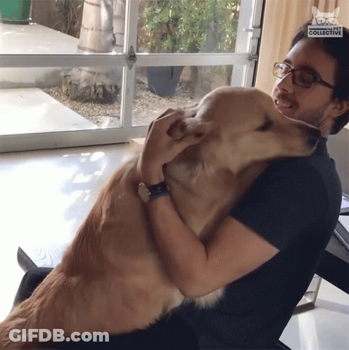 Man Hugging Large Dog With Dog Collective Logo GIF