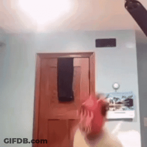 Man In A Funtime Foxy Costume GIF