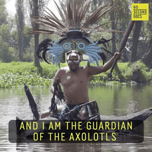 Man In A Small Boat Guardian Of Axolotl Meme GIF