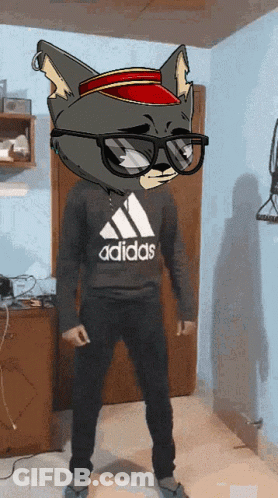 Man In Adidas Sweatshirt With Cat Head On Head GIF