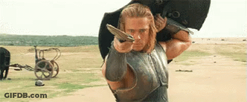 Man In Armor Holding Sword And Shield GIF