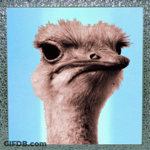 Man In Armor Riding Ostrich On Dirt Road GIF