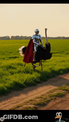 Man In Armor Riding Ostrich On Dirt Road GIF