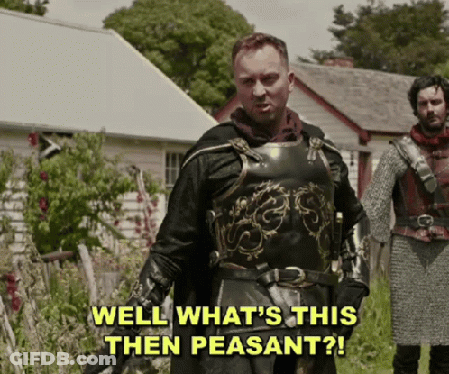 Man In Armor Says Well What's This Then Peasant GIF