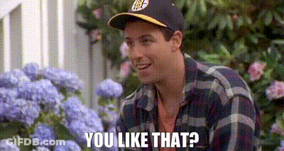 Man In Baseball Cap And Plaid Shirt Saying You Like That GIF