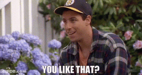 Man In Baseball Cap And Plaid Shirt Smiling Among Purple Flowers GIF