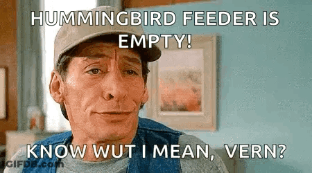 Man In Baseball Cap With Hummingbird Feeder Caption GIF