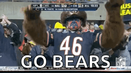 Man In Bear Costume Cheering For Bears GIF