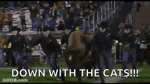 Man In Bills Jersey Number 1 GIF