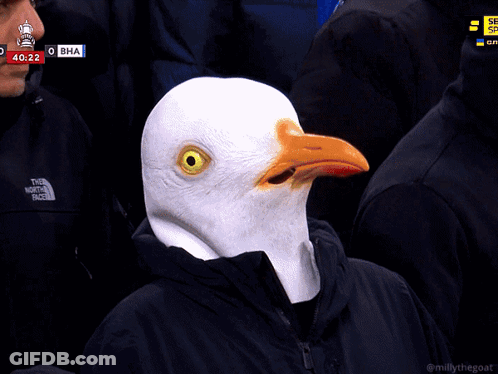 Man In Bird Mask Watching Soccer Score 42:26 GIF