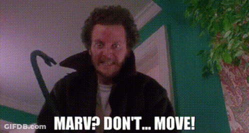 Man In Black Coat Says Marv Don't Move GIF