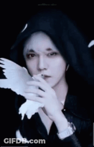 Man In Black Hooded Jacket Holding White Bird GIF