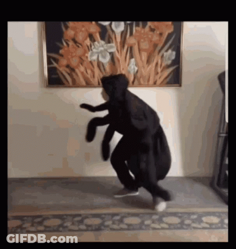 Man In Black Hoodie Dancing GIF