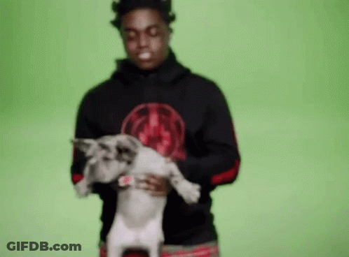 Man In Black Hoodie Holding Small Dog GIF