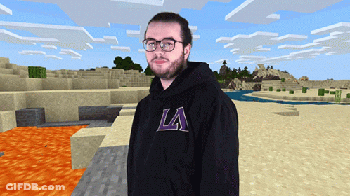 Man In Black Hoodie In Minecraft Scene GIF
