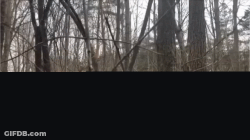 Man In Black Jacket Looking Up GIF