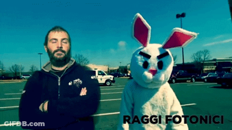 Man In Black Jacket Next To Stuffed Bunny Raggi Fotonici GIF