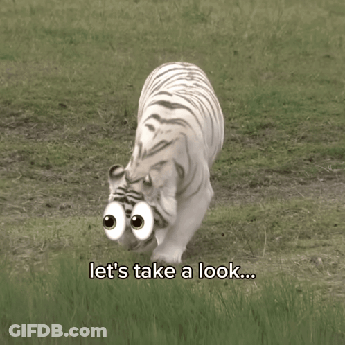 Man In Black Jacket Saying I GIF
