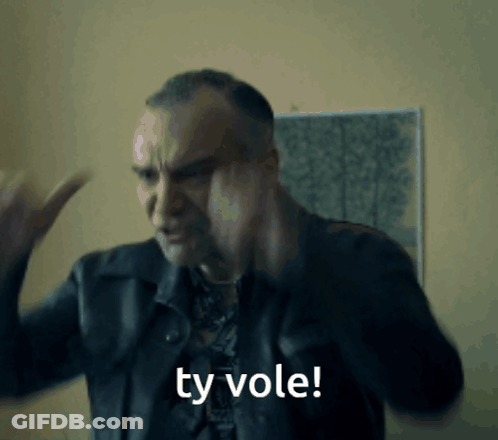 Man In Black Jacket Says Ty Vole GIF