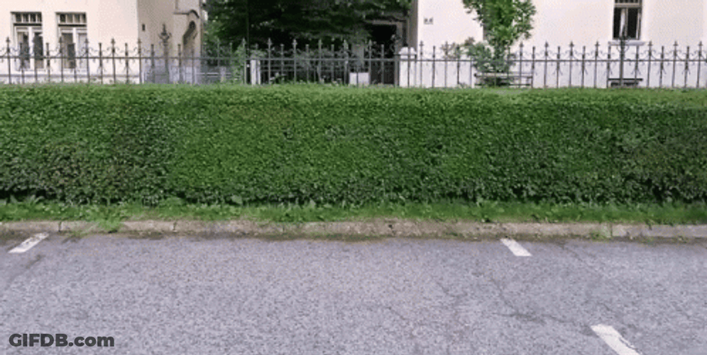 Man In Black Likes Naruto Running GIF