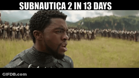 Man In Black Panther Suit In Field GIF
