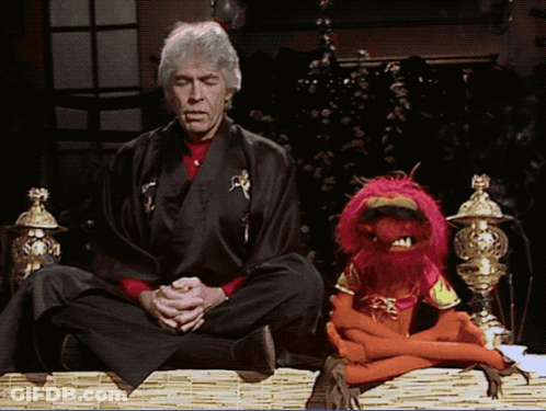 Man In Black Robe In Lotus Position Next To Stuffed Animal GIF