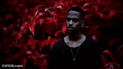 Man In Black Shirt And Gold Necklace Among Purple Flowers GIF