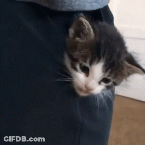 Man In Black Shirt Gaming Without Barriers GIF