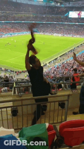 Man In Black Shirt Holding Scarf Soccer Field GIF