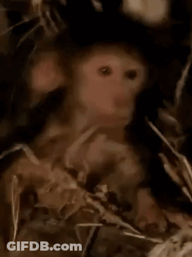 Man In Black Shirt Now Chill Out By Fire GIF
