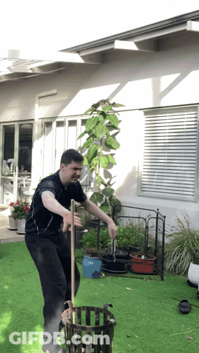 Man In Black Shirt On Green Lawn GIF