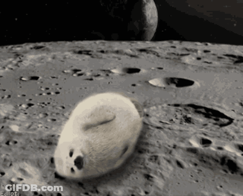 Man In Black Shirt Saying Is That So GIF
