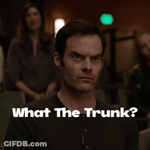 Man In Black Shirt Saying What The Trunk GIF